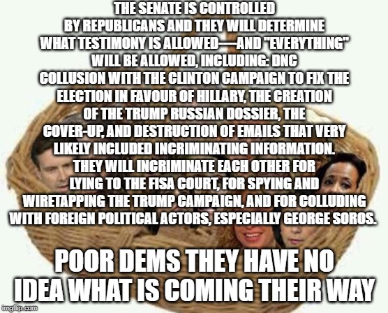 deplorables democrat liar | THE SENATE IS CONTROLLED BY REPUBLICANS AND THEY WILL DETERMINE WHAT TESTIMONY IS ALLOWED----AND "EVERYTHING" WILL BE ALLOWED, INCLUDING: DNC COLLUSION WITH THE CLINTON CAMPAIGN TO FIX THE ELECTION IN FAVOUR OF HILLARY, THE CREATION OF THE TRUMP RUSSIAN DOSSIER, THE COVER-UP, AND DESTRUCTION OF EMAILS THAT VERY LIKELY INCLUDED INCRIMINATING INFORMATION. THEY WILL INCRIMINATE EACH OTHER FOR LYING TO THE FISA COURT, FOR SPYING AND WIRETAPPING THE TRUMP CAMPAIGN, AND FOR COLLUDING WITH FOREIGN POLITICAL ACTORS, ESPECIALLY GEORGE SOROS. POOR DEMS THEY HAVE NO IDEA WHAT IS COMING THEIR WAY | image tagged in deplorables democrat liar | made w/ Imgflip meme maker