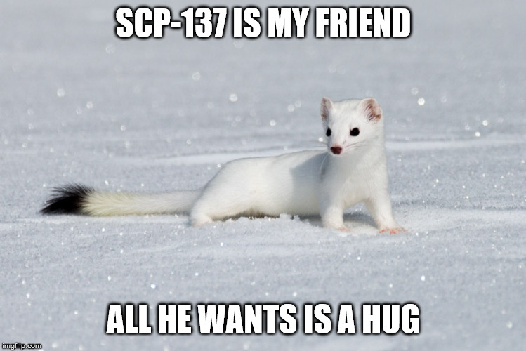 weaseltalon drowned | SCP-137 IS MY FRIEND ALL HE WANTS IS A HUG | image tagged in weaseltalon drowned | made w/ Imgflip meme maker