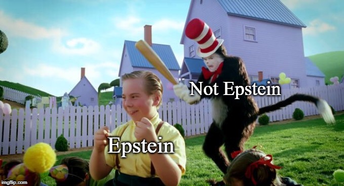 Cat & The Hat | Not Epstein; Epstein | image tagged in cat  the hat | made w/ Imgflip meme maker