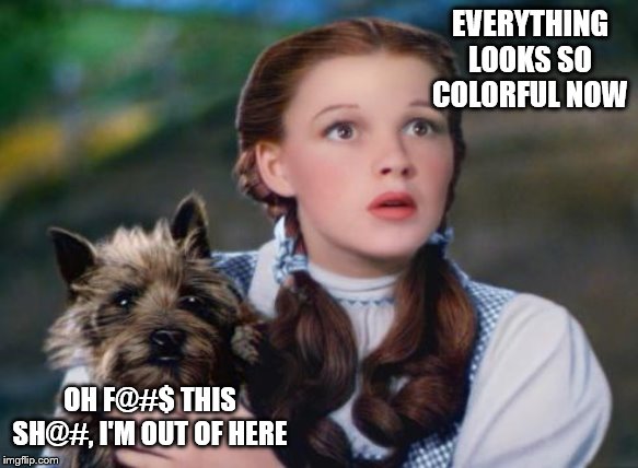 Toto Wizard of Oz | EVERYTHING LOOKS SO COLORFUL NOW OH F@#$ THIS SH@#, I'M OUT OF HERE | image tagged in toto wizard of oz | made w/ Imgflip meme maker
