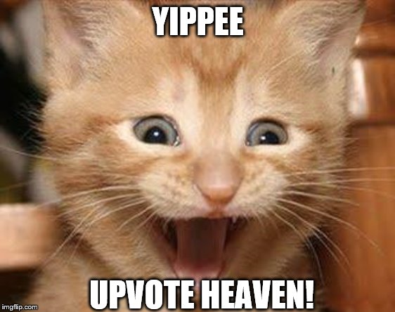 Excited Cat | YIPPEE; UPVOTE HEAVEN! | image tagged in memes,excited cat | made w/ Imgflip meme maker