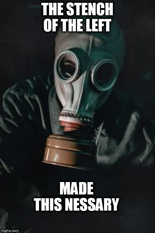 mask | THE STENCH OF THE LEFT; MADE THIS NESSARY | image tagged in mask | made w/ Imgflip meme maker