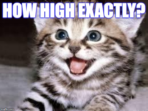 happy cat | HOW HIGH EXACTLY? | image tagged in happy cat | made w/ Imgflip meme maker