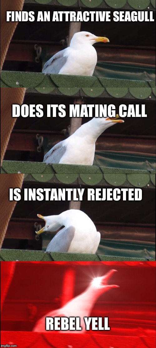 Inhaling Seagull Meme | FINDS AN ATTRACTIVE SEAGULL; DOES ITS MATING CALL; IS INSTANTLY REJECTED; REBEL YELL | image tagged in memes,inhaling seagull | made w/ Imgflip meme maker