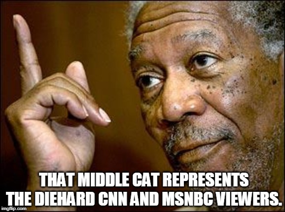 This Morgan Freeman | THAT MIDDLE CAT REPRESENTS THE DIEHARD CNN AND MSNBC VIEWERS. | image tagged in this morgan freeman | made w/ Imgflip meme maker