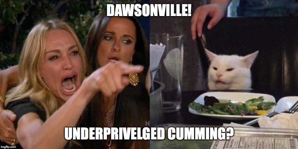 Woman yelling at cat | DAWSONVILLE! UNDERPRIVELGED CUMMING? | image tagged in woman yelling at cat | made w/ Imgflip meme maker