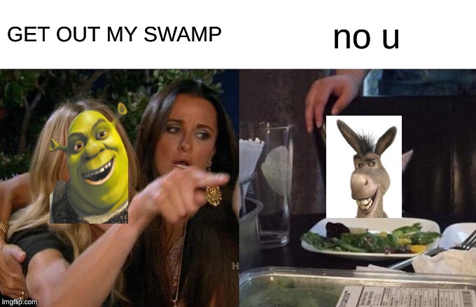 Woman Yelling At Cat | GET OUT MY SWAMP; no u | image tagged in memes,woman yelling at a cat | made w/ Imgflip meme maker