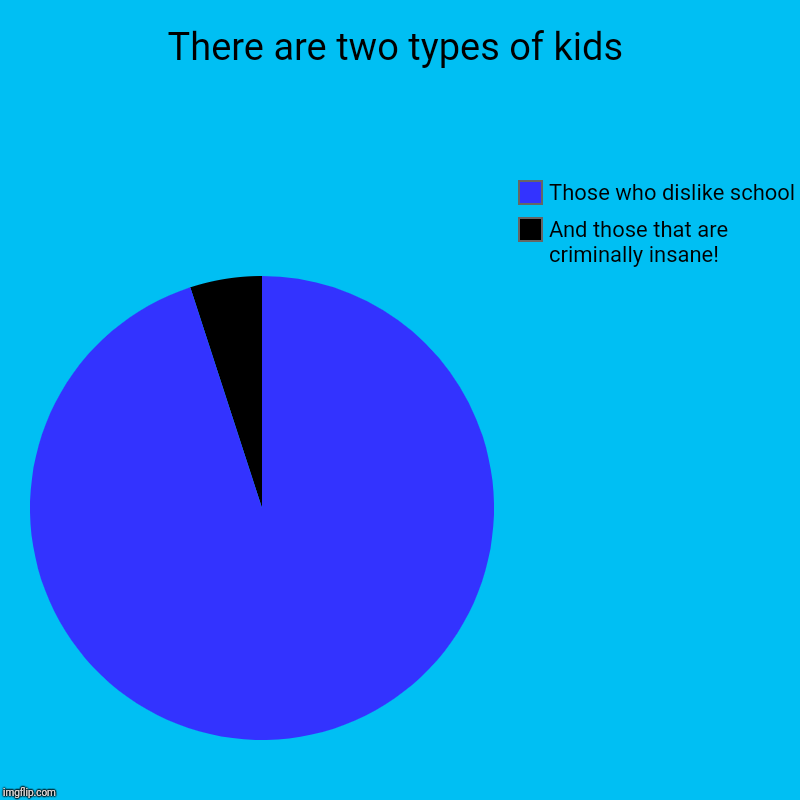 There are two types of kids | And those that are criminally insane!, Those who dislike school | image tagged in charts,pie charts | made w/ Imgflip chart maker