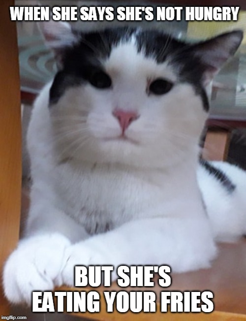 WHEN SHE SAYS SHE'S NOT HUNGRY; BUT SHE'S EATING YOUR FRIES | image tagged in food,fries,hungry,cats share food | made w/ Imgflip meme maker