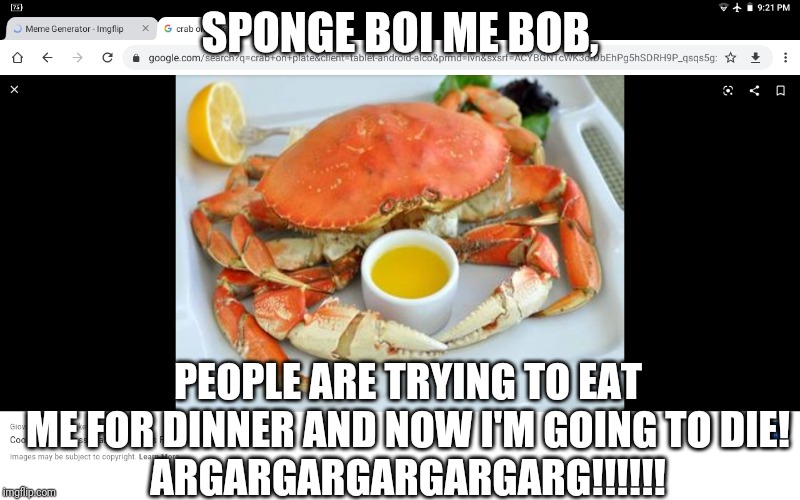 Who Wants Mr. Krabs For Dinner? |  SPONGE BOI ME BOB, PEOPLE ARE TRYING TO EAT ME FOR DINNER AND NOW I'M GOING TO DIE!
ARGARGARGARGARGARG!!!!!! | image tagged in mr krabs on the dinner plate | made w/ Imgflip meme maker
