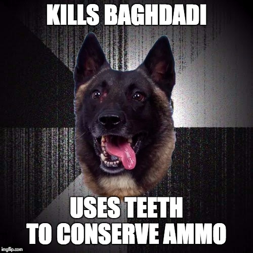 Conan The Little Warrior | KILLS BAGHDADI; USES TEETH TO CONSERVE AMMO | image tagged in dog,trump,satire,breaking news,make america great again,swag | made w/ Imgflip meme maker