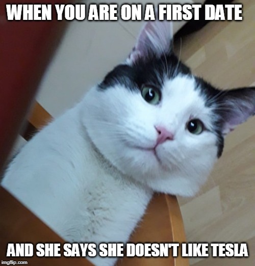 WHEN YOU ARE ON A FIRST DATE; AND SHE SAYS SHE DOESN'T LIKE TESLA | image tagged in tesla,cats,first date | made w/ Imgflip meme maker