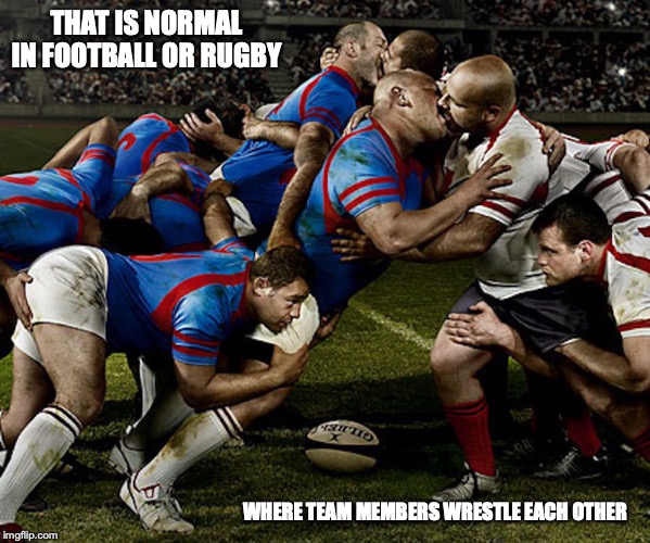 Gay Rugby Game | THAT IS NORMAL IN FOOTBALL OR RUGBY; WHERE TEAM MEMBERS WRESTLE EACH OTHER | image tagged in rugby,game,memes,sports,gay | made w/ Imgflip meme maker