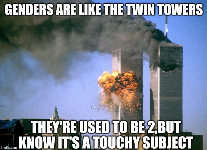 911 9/11 twin towers impact | GENDERS ARE LIKE THE TWIN TOWERS; THEY'RE USED TO BE 2,BUT KNOW IT'S A TOUCHY SUBJECT | image tagged in 911 9/11 twin towers impact | made w/ Imgflip meme maker