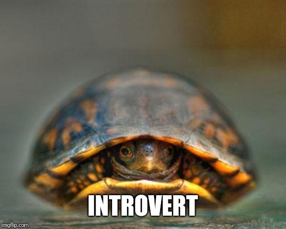 introverts | INTROVERT | image tagged in introverts | made w/ Imgflip meme maker