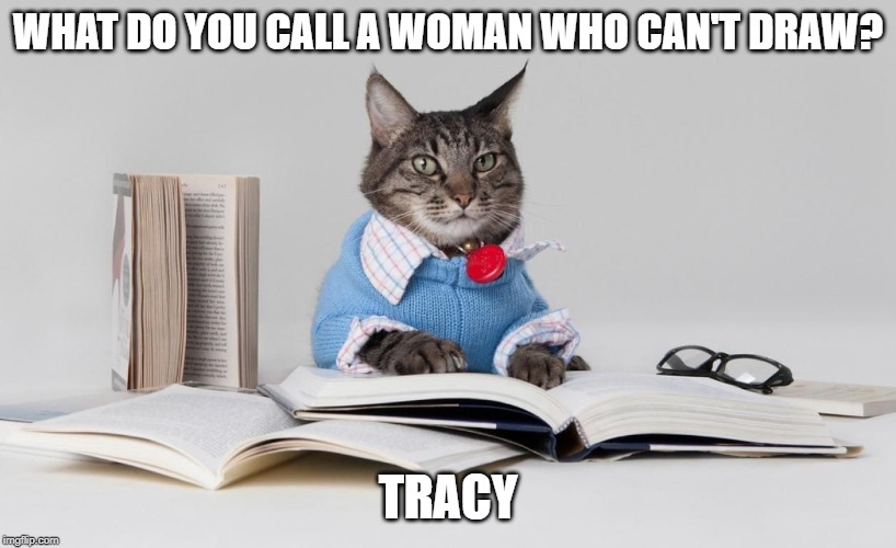 smart cat | WHAT DO YOU CALL A WOMAN WHO CAN'T DRAW? TRACY | image tagged in smart cat | made w/ Imgflip meme maker