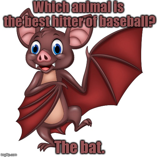 The best hitter | Which animal is 
the best hitter of baseball? The bat. | image tagged in baseball | made w/ Imgflip meme maker