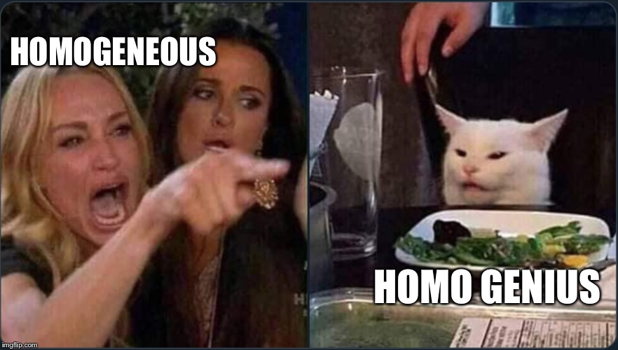 HOMOGENEOUS; HOMO GENIUS | image tagged in cat,angrycat,angrycatmeme | made w/ Imgflip meme maker