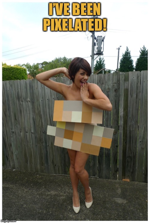 Pixel Naked | I’VE BEEN PIXELATED! | image tagged in pixel naked | made w/ Imgflip meme maker