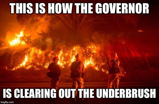 California Fires | THIS IS HOW THE GOVERNOR IS CLEARING OUT THE UNDERBRUSH | image tagged in california fires | made w/ Imgflip meme maker