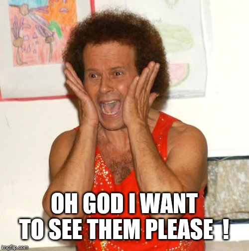 Richard Simmons | OH GOD I WANT TO SEE THEM PLEASE  ! | image tagged in richard simmons | made w/ Imgflip meme maker