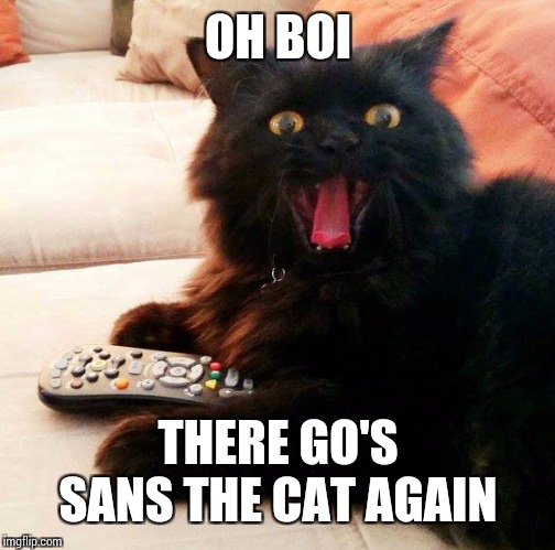 OH BOY! Cat | OH BOI THERE GO'S SANS THE CAT AGAIN | image tagged in oh boy cat | made w/ Imgflip meme maker