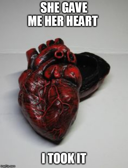 heart | SHE GAVE ME HER HEART; I TOOK IT | image tagged in heart | made w/ Imgflip meme maker