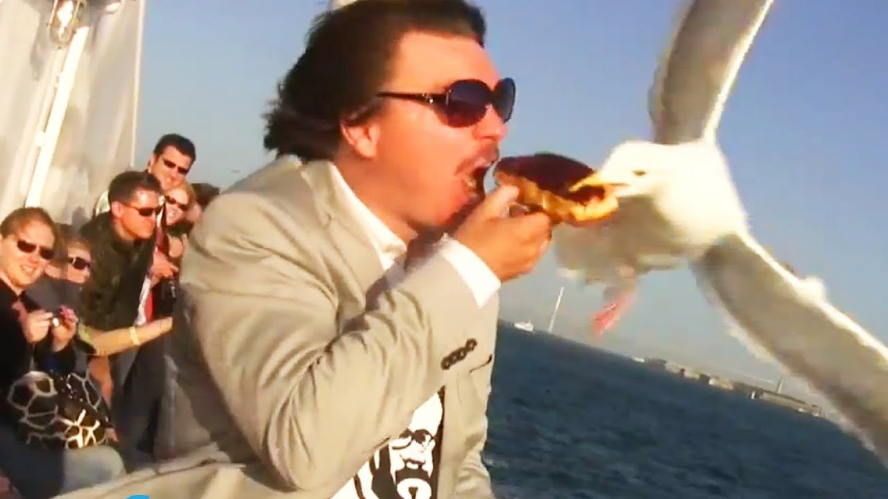 High Quality seagul steals food Blank Meme Template