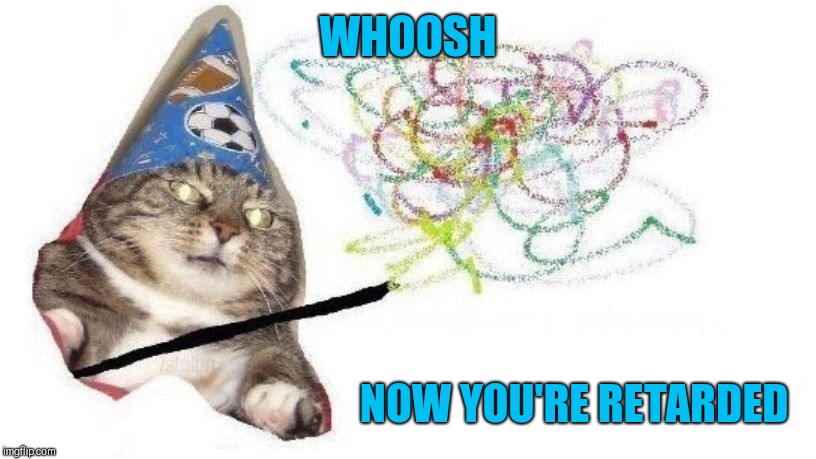 Wizard Cat | WHOOSH NOW YOU'RE RETARDED | image tagged in wizard cat | made w/ Imgflip meme maker
