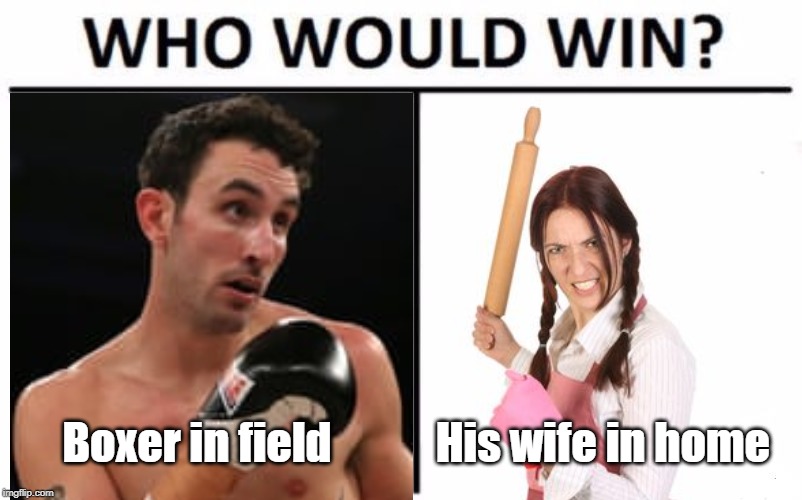 Who would win? | Boxer in field; His wife in home | image tagged in boxing | made w/ Imgflip meme maker