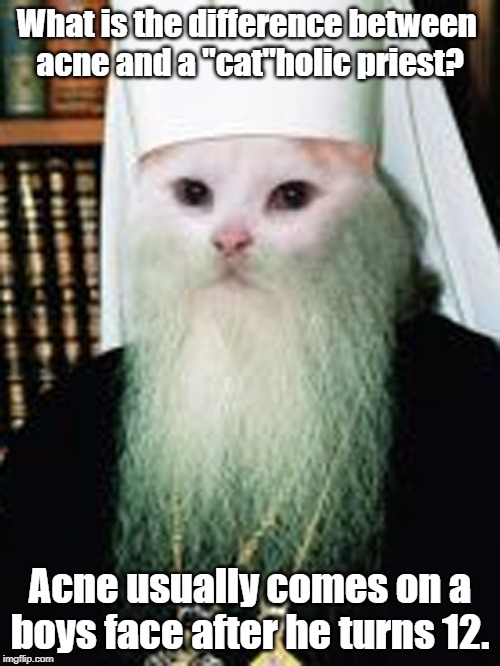 catholic priest | What is the difference between 
acne and a "cat"holic priest? Acne usually comes on a boys face after he turns 12. | image tagged in cats | made w/ Imgflip meme maker