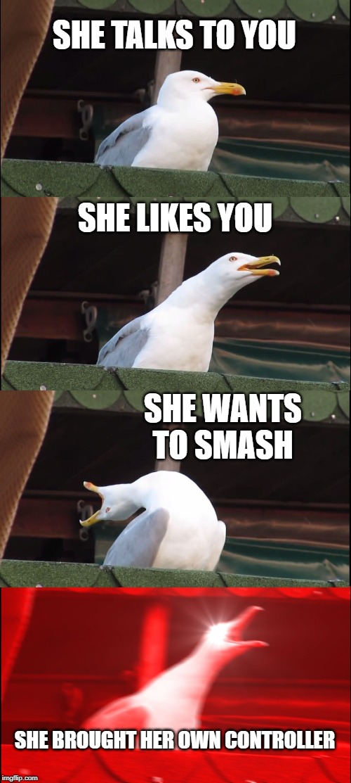 Inhaling Seagull Meme | SHE TALKS TO YOU; SHE LIKES YOU; SHE WANTS TO SMASH; SHE BROUGHT HER OWN CONTROLLER | image tagged in memes,inhaling seagull | made w/ Imgflip meme maker