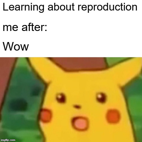 Surprised Pikachu | Learning about reproduction; me after:; Wow | image tagged in memes,surprised pikachu | made w/ Imgflip meme maker