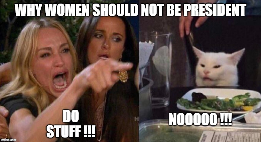 They'll make us do stuff! | NOOOOO !!! | image tagged in cats,women | made w/ Imgflip meme maker