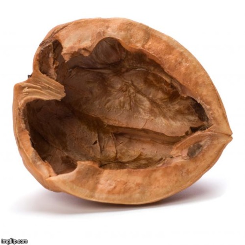 Nutshell | image tagged in nutshell | made w/ Imgflip meme maker