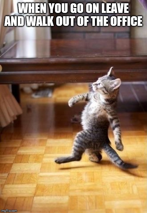 Cool Cat Stroll | WHEN YOU GO ON LEAVE AND WALK OUT OF THE OFFICE | image tagged in memes,cool cat stroll | made w/ Imgflip meme maker