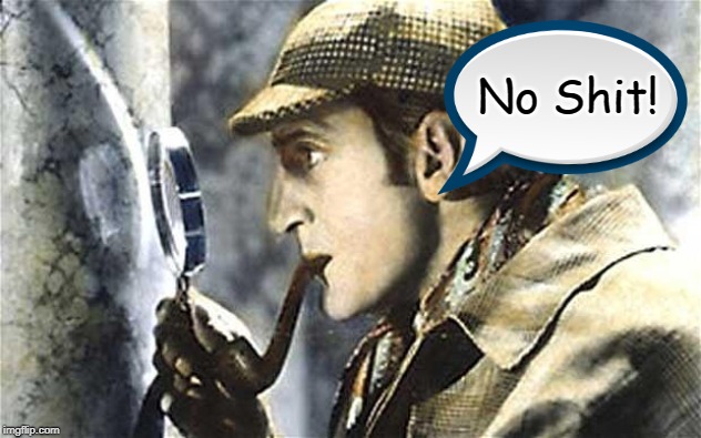 No Shit Sherlock! | No Shit! | image tagged in sherlock investigates,funny memes,no shit | made w/ Imgflip meme maker