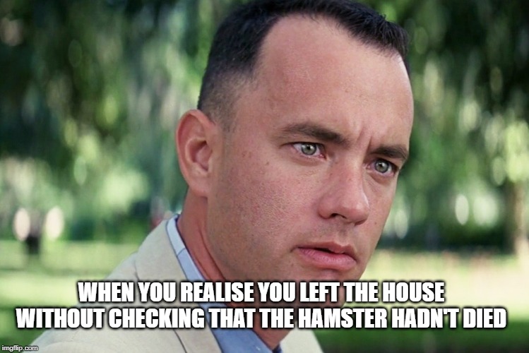 And Just Like That Meme | WHEN YOU REALISE YOU LEFT THE HOUSE WITHOUT CHECKING THAT THE HAMSTER HADN'T DIED | image tagged in memes,and just like that | made w/ Imgflip meme maker