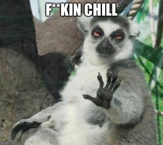 No thanks lemur | F**KIN CHILL | image tagged in no thanks lemur | made w/ Imgflip meme maker