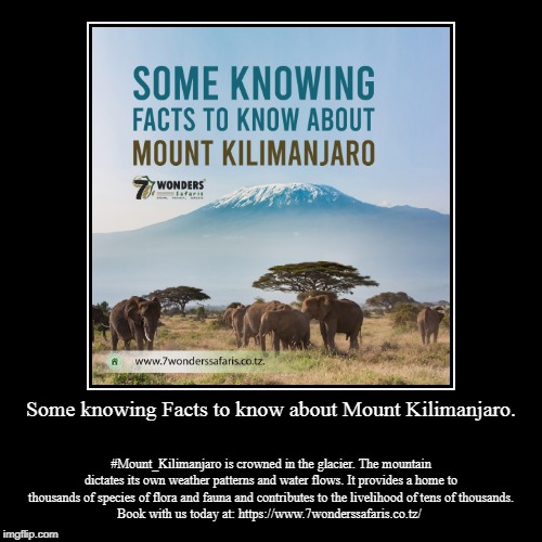 Some knowing Facts to know about Mount Kilimanjaro. | image tagged in africa,safari,animals,wildlife,elephant | made w/ Imgflip demotivational maker