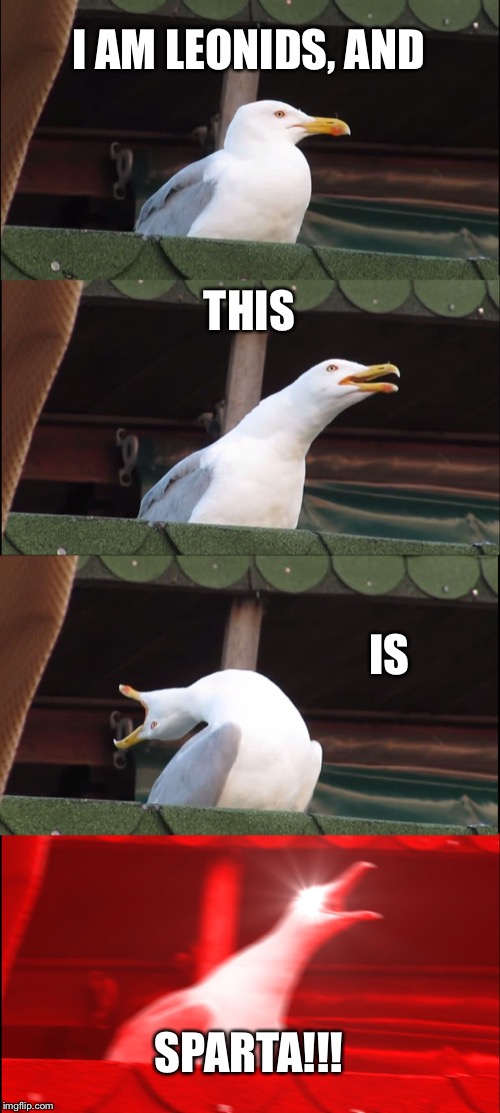 Inhaling Seagull Meme | I AM LEONIDS, AND; THIS; IS; SPARTA!!! | image tagged in memes,inhaling seagull | made w/ Imgflip meme maker