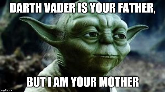 Yoda | DARTH VADER IS YOUR FATHER, BUT I AM YOUR MOTHER | image tagged in star wars yoda | made w/ Imgflip meme maker