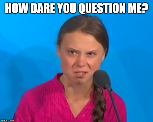 How dare you? | HOW DARE YOU QUESTION ME? | image tagged in how dare you | made w/ Imgflip meme maker