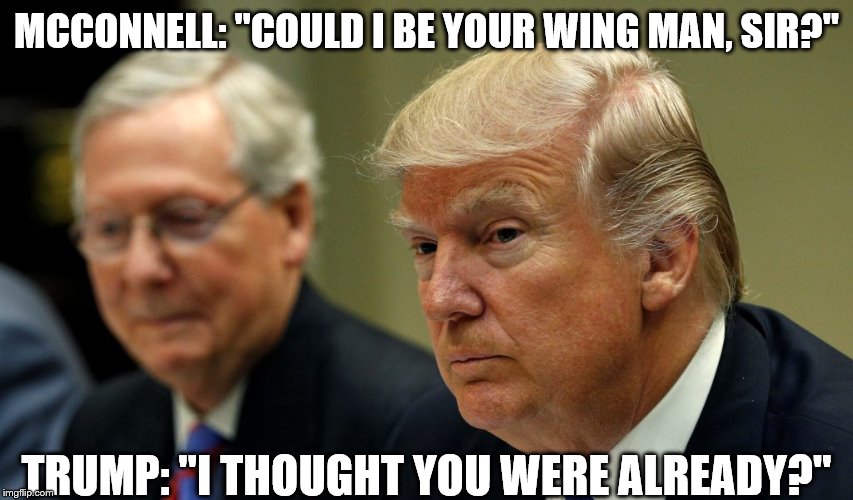 Trump McConnell | MCCONNELL: "COULD I BE YOUR WING MAN, SIR?" TRUMP: "I THOUGHT YOU WERE ALREADY?" | image tagged in trump mcconnell | made w/ Imgflip meme maker