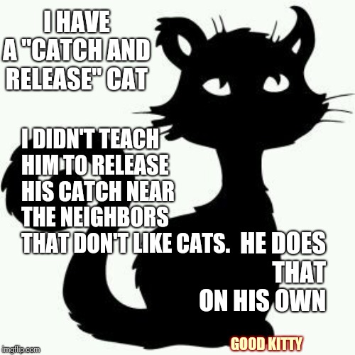 My Dog Alerts Me To Hurt Critters And I Had A Cat That Brought Home A Stray Kitten.  Animals Are So Amazing. | I HAVE A "CATCH AND RELEASE" CAT; I DIDN'T TEACH HIM TO RELEASE HIS CATCH NEAR THE NEIGHBORS THAT DON'T LIKE CATS. HE DOES THAT ON HIS OWN; GOOD KITTY | image tagged in memes,animals,smart animals,funny animals,funny cats,the most interesting cat in the world | made w/ Imgflip meme maker