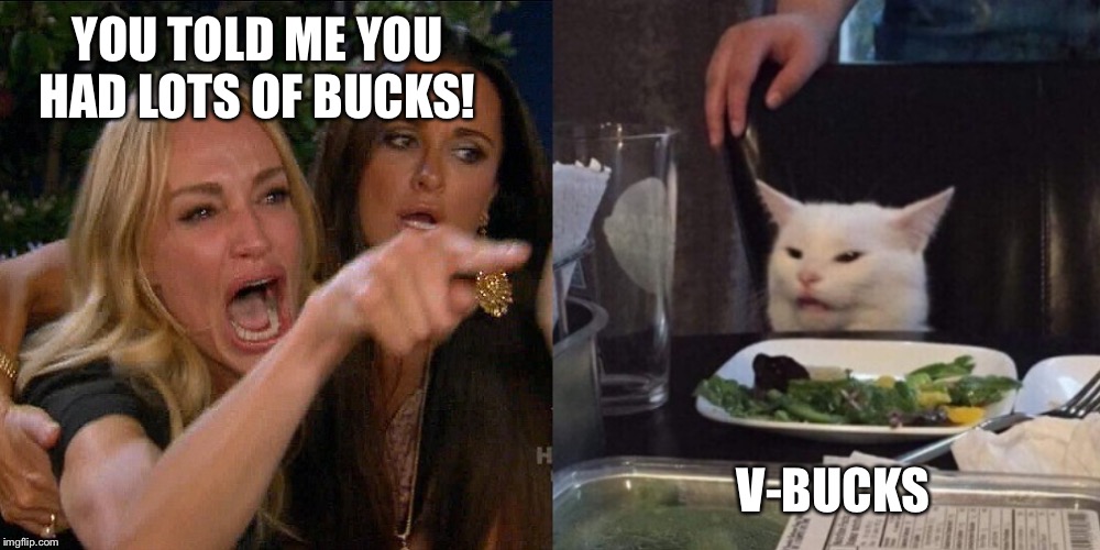Woman yelling at cat |  YOU TOLD ME YOU HAD LOTS OF BUCKS! V-BUCKS | image tagged in woman yelling at cat | made w/ Imgflip meme maker