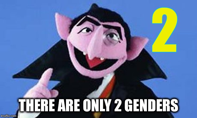 Brought to you by the number two | 2; THERE ARE ONLY 2 GENDERS | image tagged in count - sesame street,gender | made w/ Imgflip meme maker