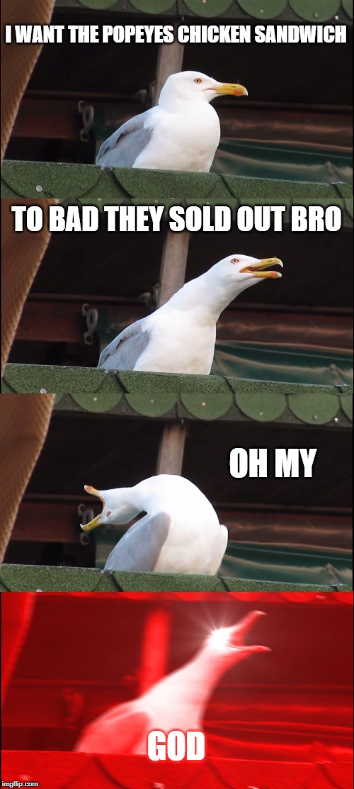 Inhaling Seagull Meme | I WANT THE POPEYES CHICKEN SANDWICH; TO BAD THEY SOLD OUT BRO; OH MY; GOD | image tagged in memes,inhaling seagull | made w/ Imgflip meme maker