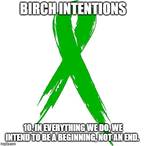 BIRCH INTENTIONS; 10. IN EVERYTHING WE DO, WE INTEND TO BE A BEGINNING, NOT AN END. | image tagged in birchtree,birch tree,birch intentions,mental health arkansas,mental illness arkansas,stigma | made w/ Imgflip meme maker