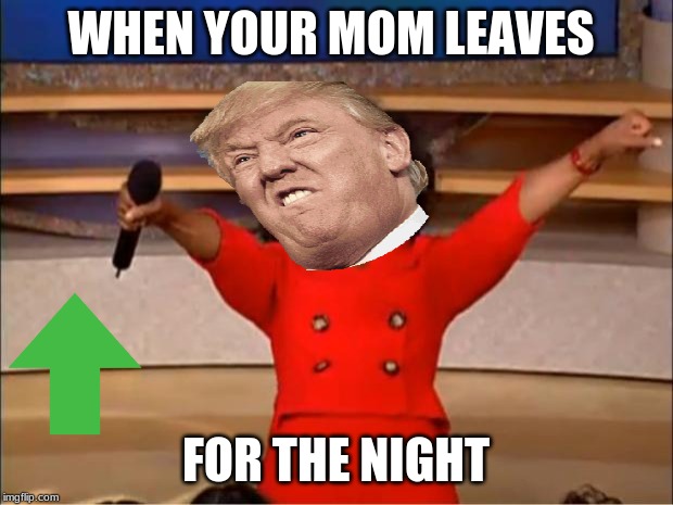 Oprah You Get A Meme | WHEN YOUR MOM LEAVES; FOR THE NIGHT | image tagged in memes,oprah you get a | made w/ Imgflip meme maker